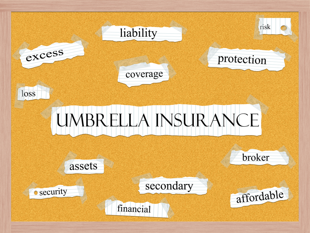 Birch Run MI business umbrella insurance